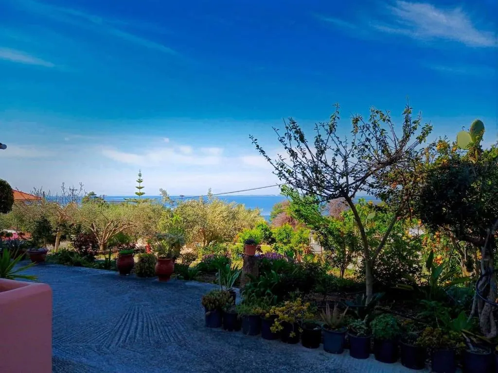 Terrace, Oskars Studios & Apartments, Kefallinia