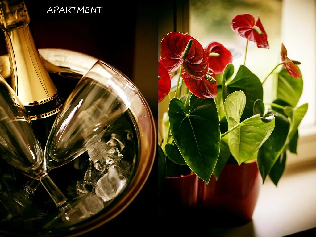 APARTMENT CAPACITY 4 ONE BEDROOM Room, Otakar, Prague
