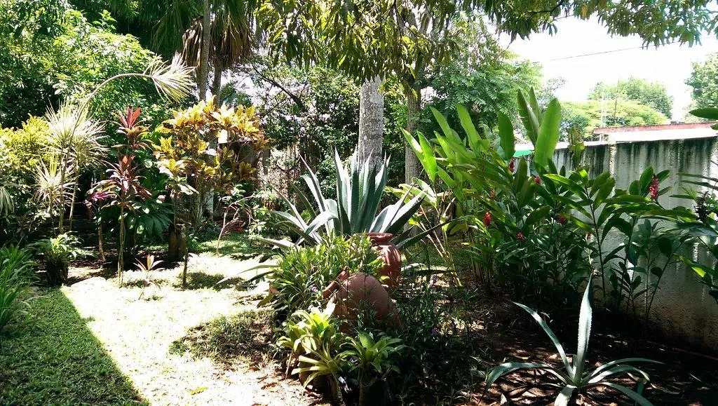 Terrace, Ecotel Quinta Regia, Cancun Area
