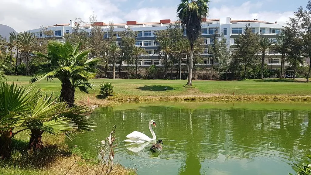 General view, Gara Suites Golf & Spa, Tenerife