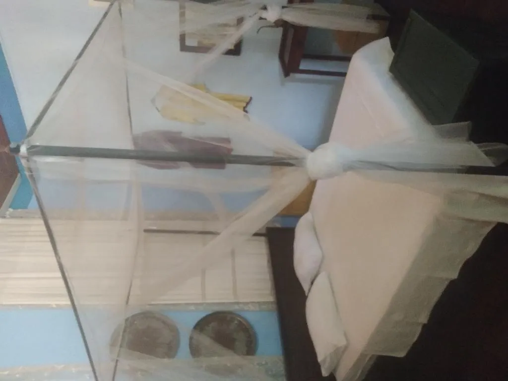 Room LUXURY Room, Cunda Zehra Teyzenin Evi, Izmir
