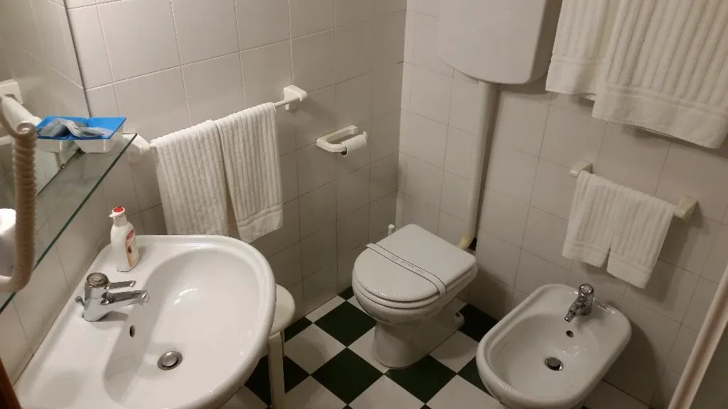 DOUBLE SINGLE USE STANDARD Room, Hotel Le Colombelle, Venice