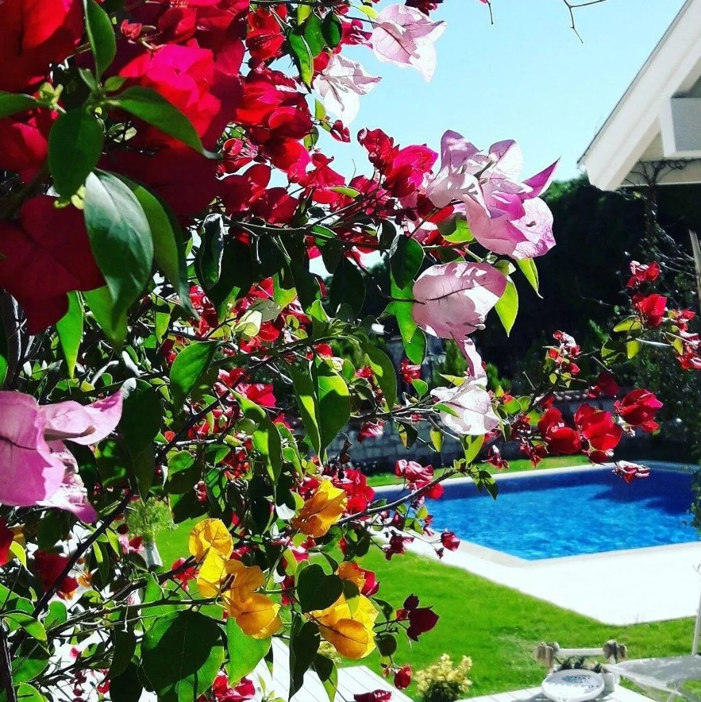 General view, Salbakos Herakleia Boutique Hotel, Izmir