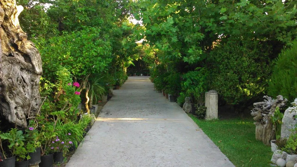 General view, Baha Ammes, Kefallinia