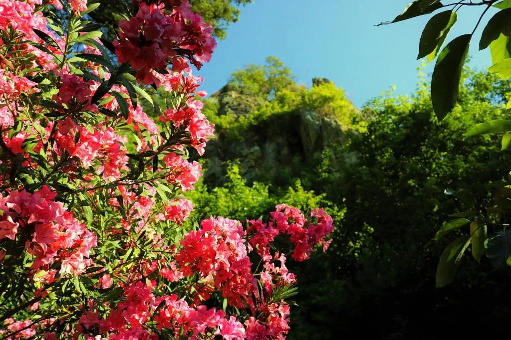 General view, Simge Pension, Antalya