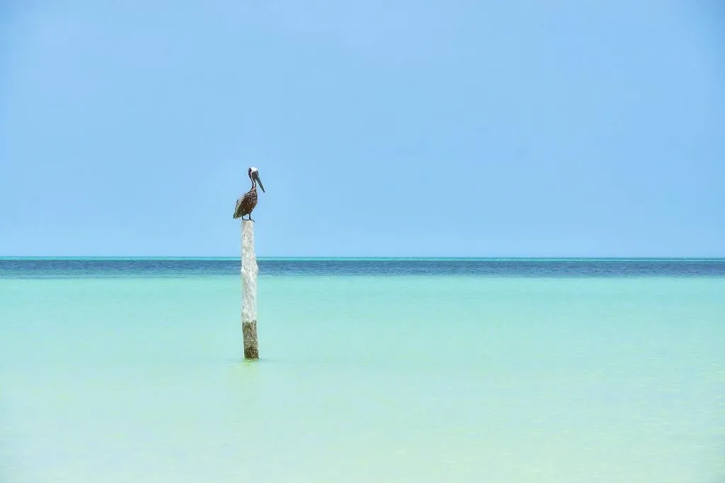 Beach, Soho Boutique Holbox - Adults Only, Cancun Area