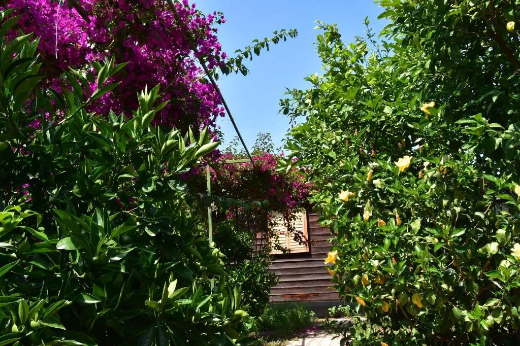 General view, Lemon Garden Lodge, Antalya