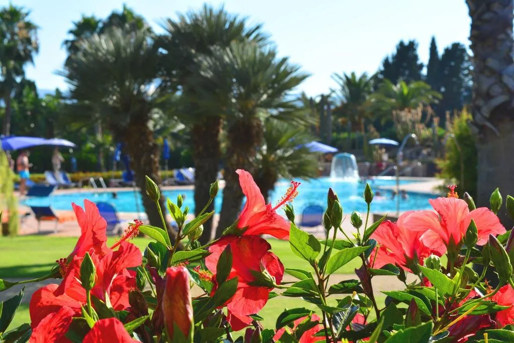 Terrace, Lantana Resort Hotel & Apartments, Cagliari