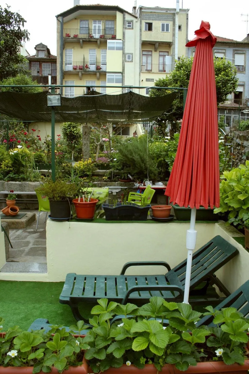 Terrace, Estoril Porto, Porto