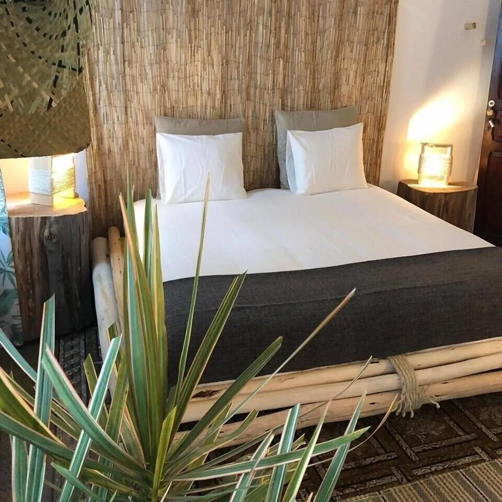Room, Cactus Host, Gran Canaria
