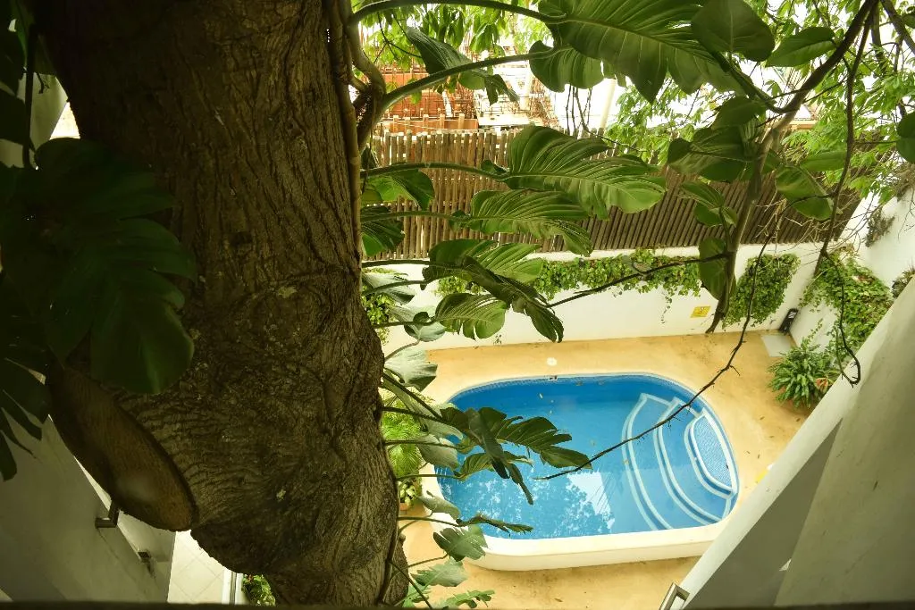 Pool, Casa Ticul, Playa Del Carmen