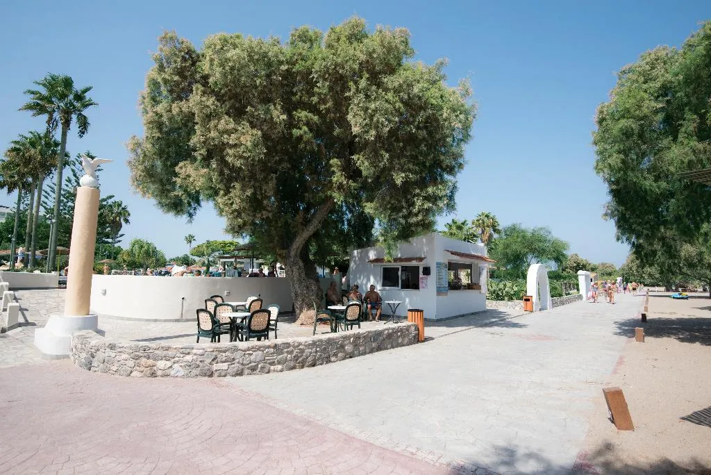 Bar, Atlantis, Kos