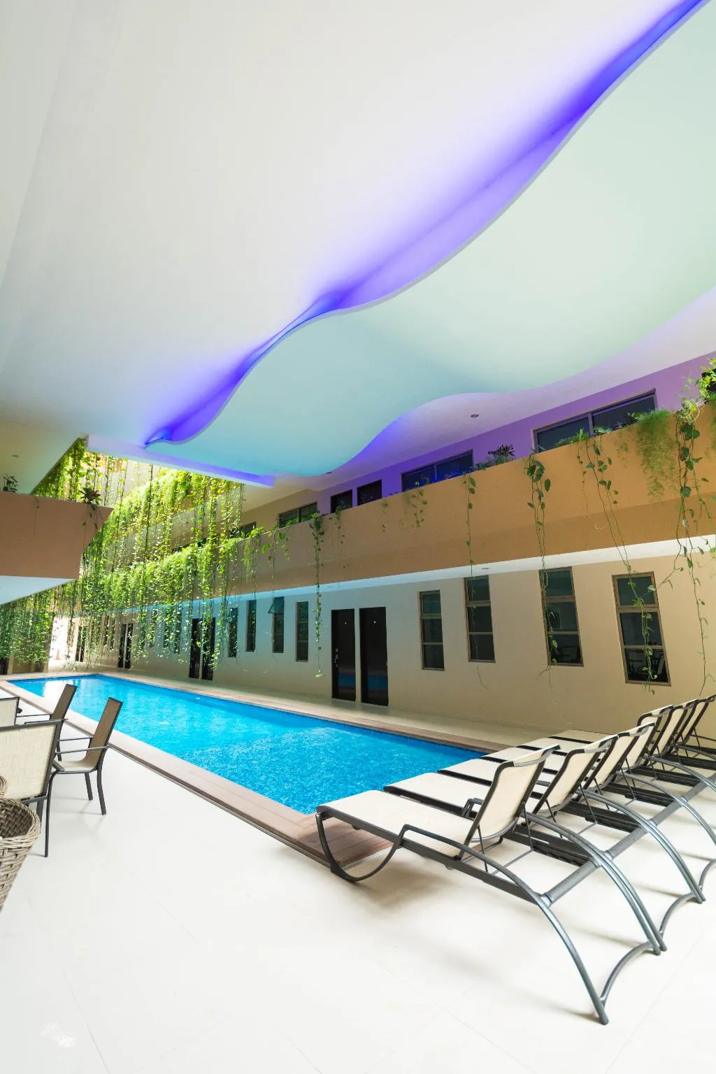 Pool, Palmarena by Nah Hotels, Playa Del Carmen