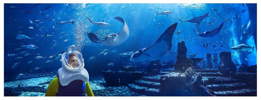 Sports and Entertainment, Atlantis The Palm, Dubai