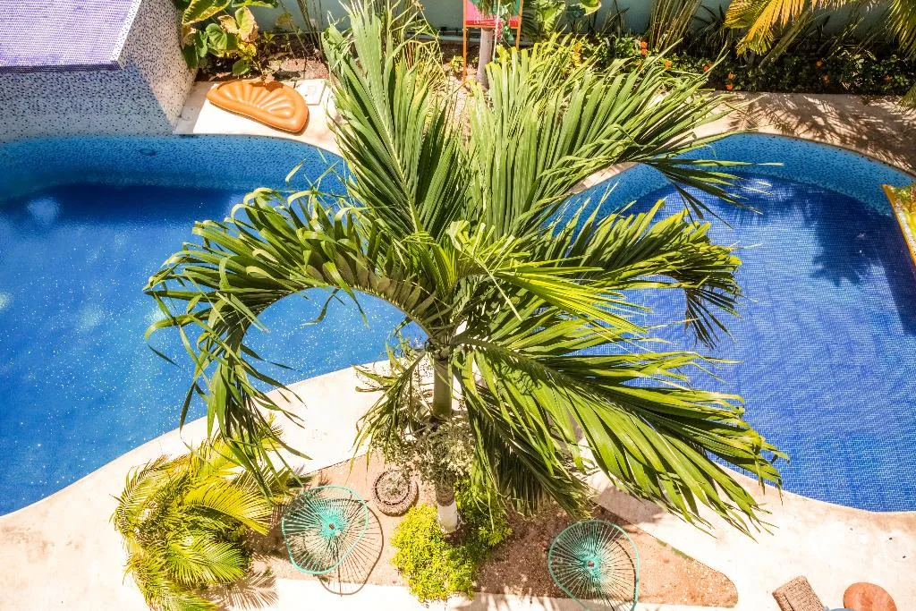 Pool, Selina Playa Del Carmen, Playa Del Carmen
