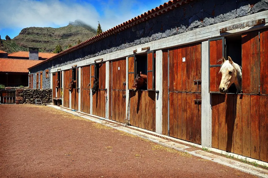 Sports and Entertainment, La Casona Del Patio, Tenerife