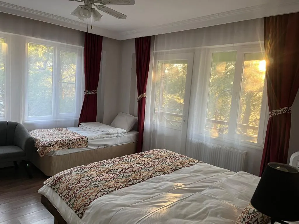 TRIPLE MOUNTAIN VIEW Room, Sari Konak Butik Otel, Izmir