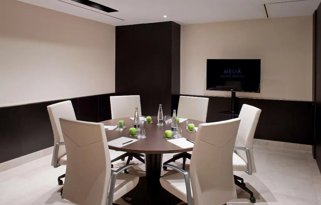 Conferences, Melia Madrid Princesa, Madrid