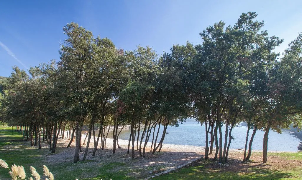 Beach, Duga Uvala, Istria