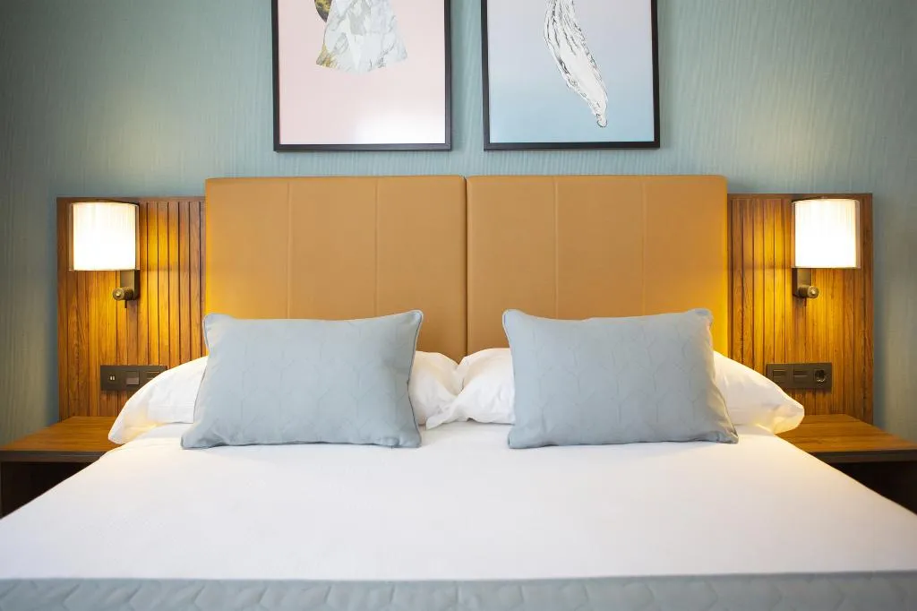 DOUBLE DELUXE WITH TERRACE Room, Hotel Riu Plaza España, Madrid