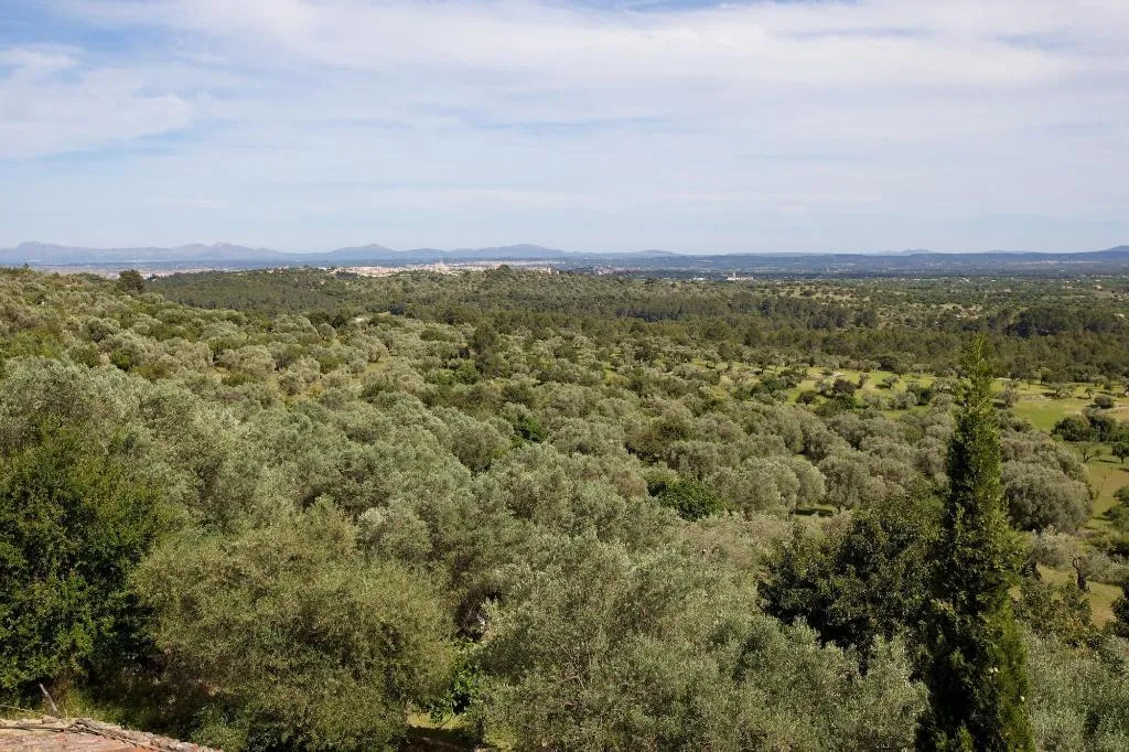 General view, Finca Hotel Es Castell, Majorca