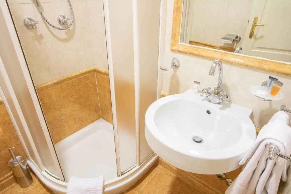 DOUBLE SINGLE USE STANDARD Room, Hosianum Palace, Rome