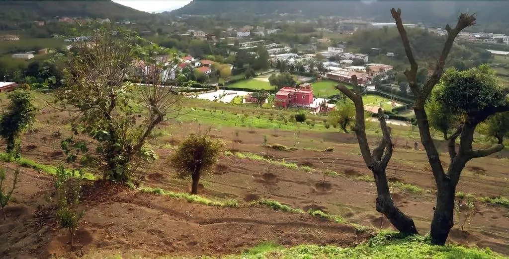 General view, Agriturismo San Martino, Naples
