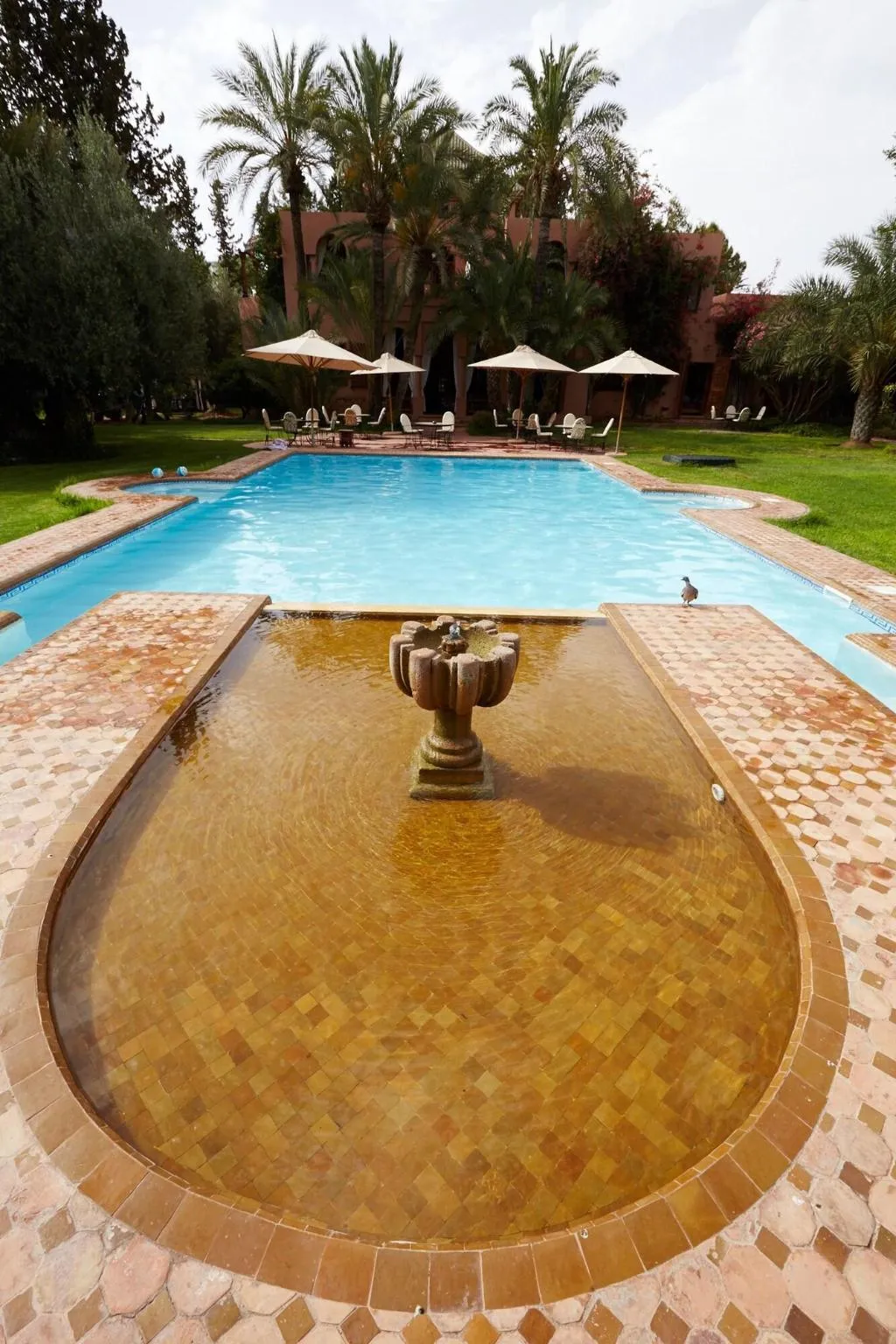 Sports and Entertainment, Dar Ayniwen Garden Hotel & Bird Zoo, Marrakech
