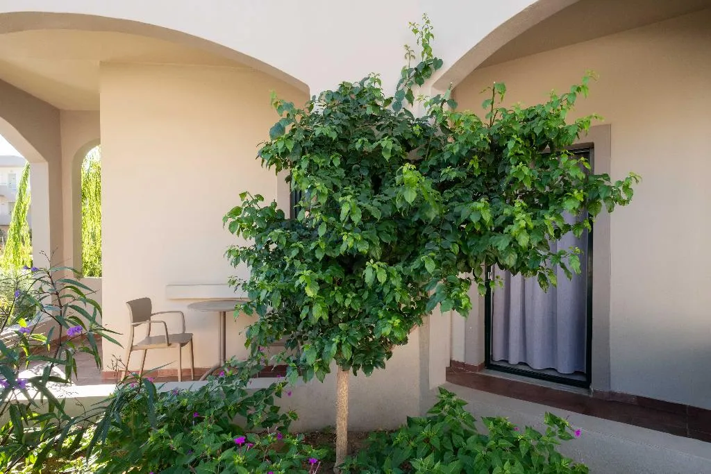 STUDIO ONE BED Room, Romantica Hotel, Crete