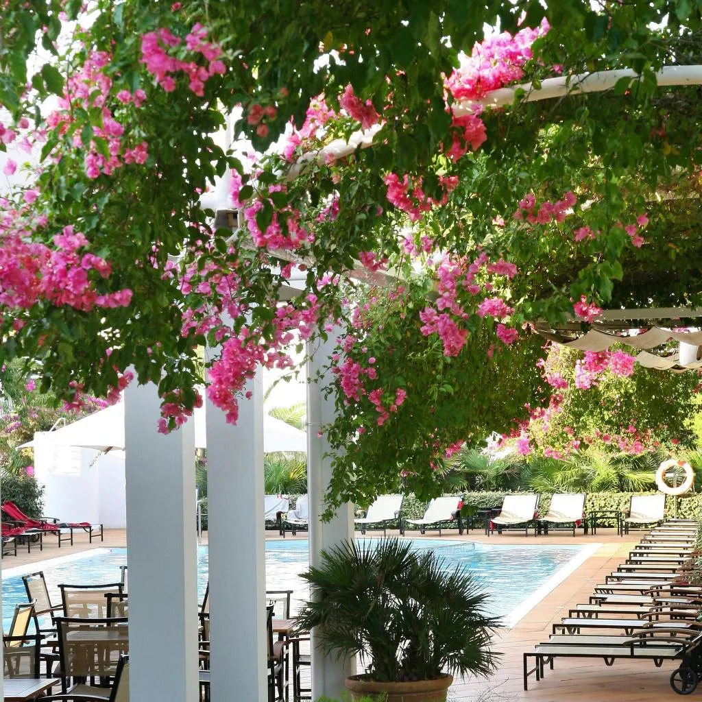 Pool, Melia Cala d'Or Boutique Hotel, Majorca