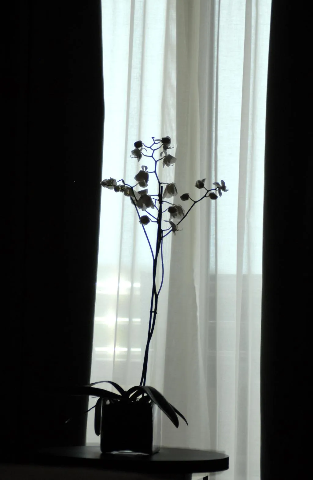 Double or Twin STANDARD Room, Protur Biomar Sensatori, Majorca