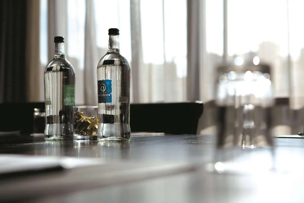 Conferences, Radisson Blu Royal Hotel, Dublin, Dublin