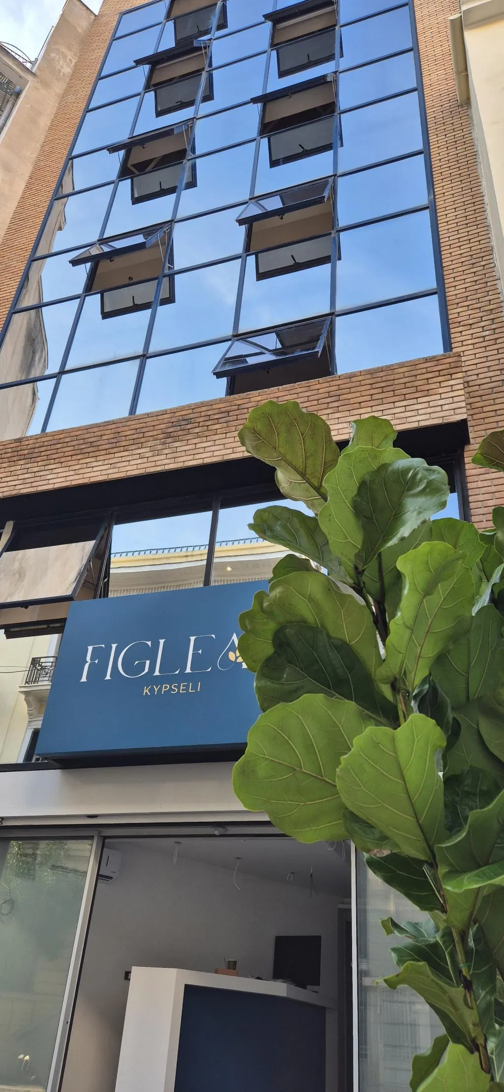 General view, Figleaf Kypseli, Athens