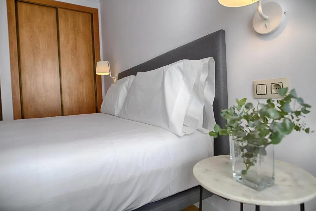 DOUBLE SINGLE USE CLASSIC Room, Sercotel Tribuna Malaga, Costa Del Sol