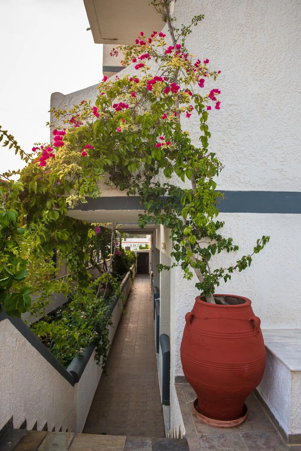 Double or Twin GARDEN VIEW Room, Fevro, Crete