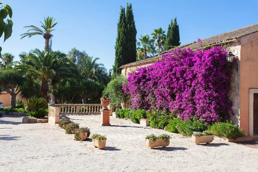 General view, Es Revellar Art Resort, Majorca