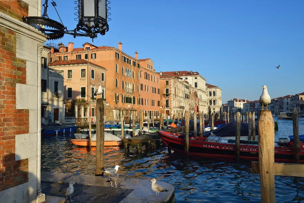 General view, L'Orologio Venezia, Venice
