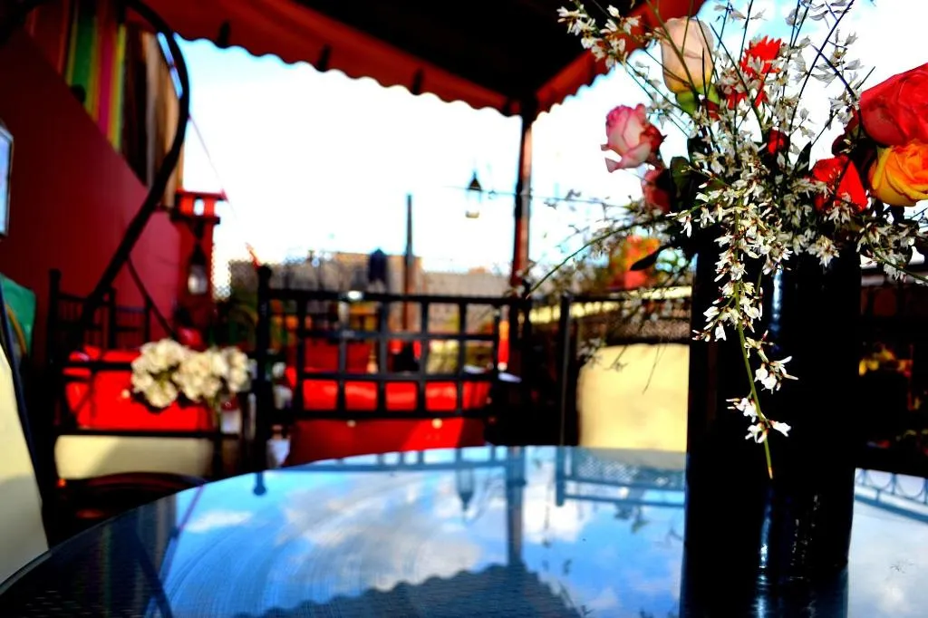 Terrace, Riad Amya, Marrakech