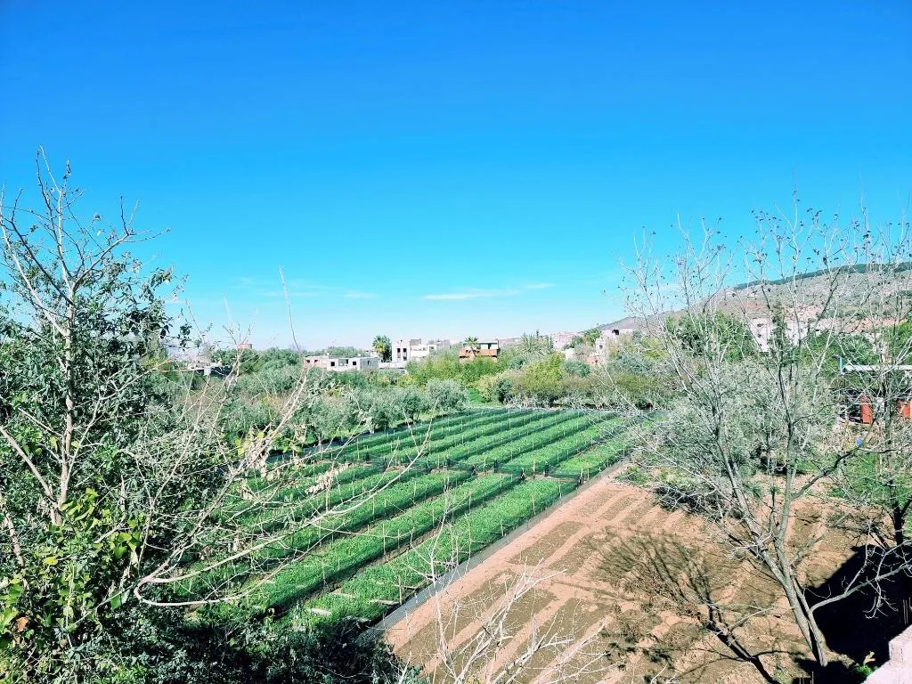 General view, Villa Des Étoiles, Marrakech
