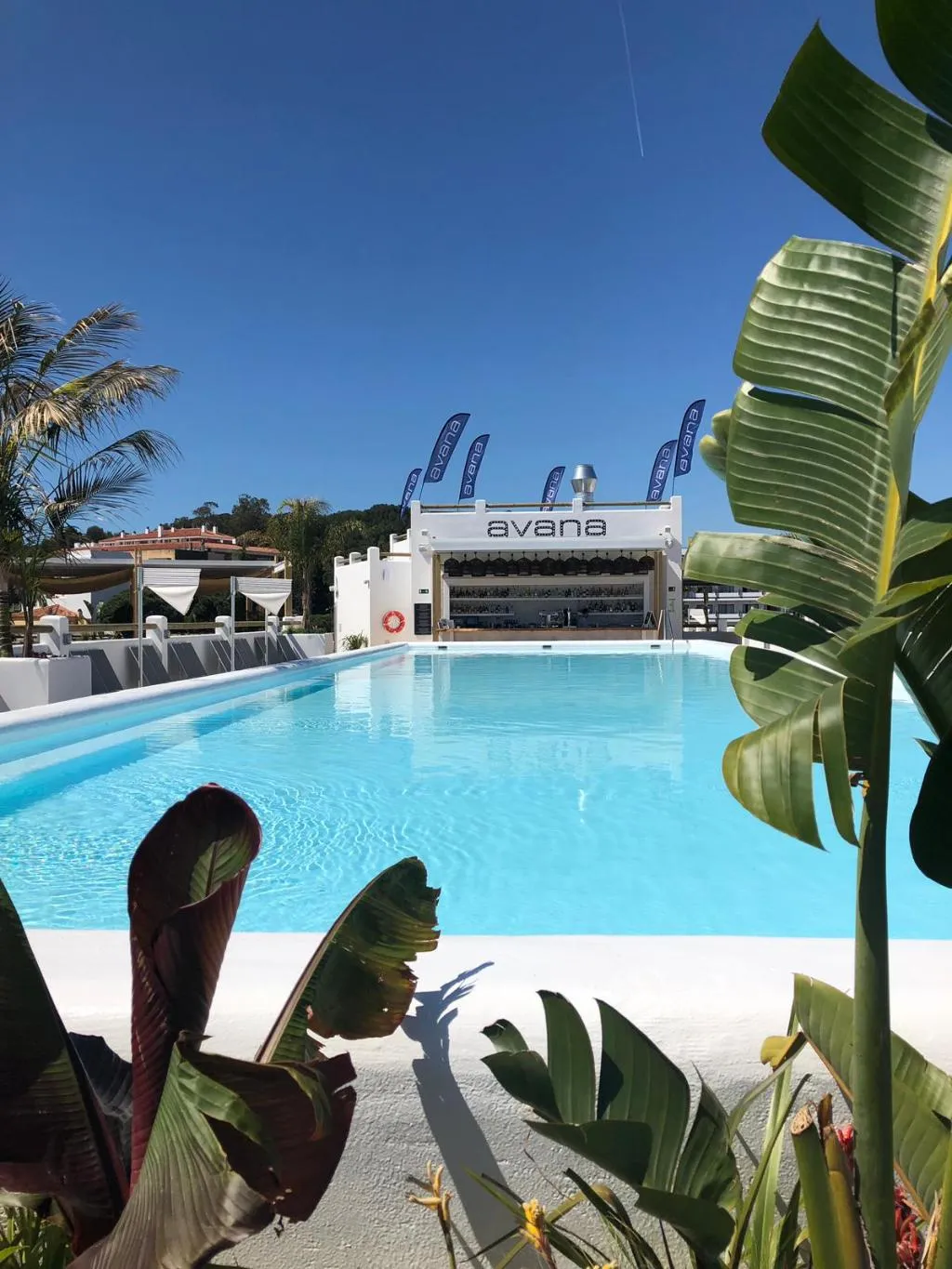 Pool, Delamar - Adults Only, Costa Brava