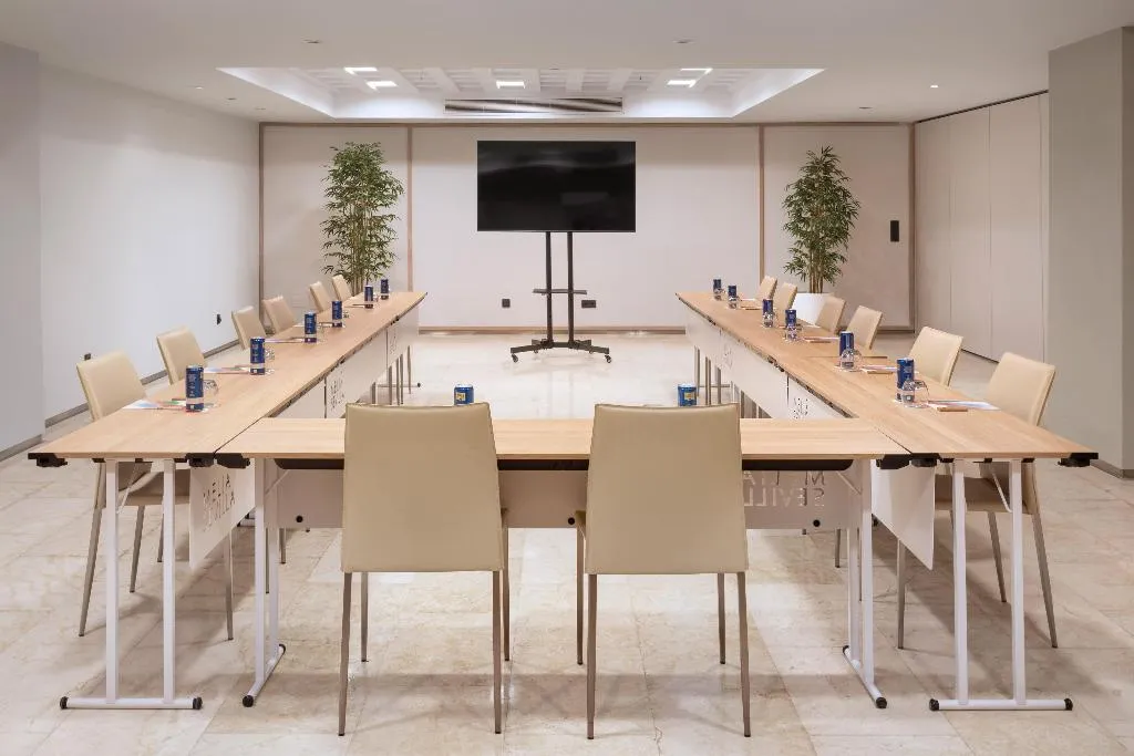 Conferences, Melia Sevilla, Seville