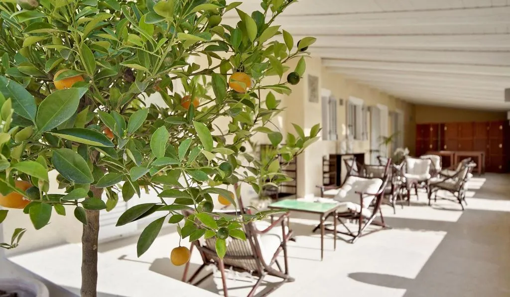 Terrace, Donna Coraly Resort, Catania