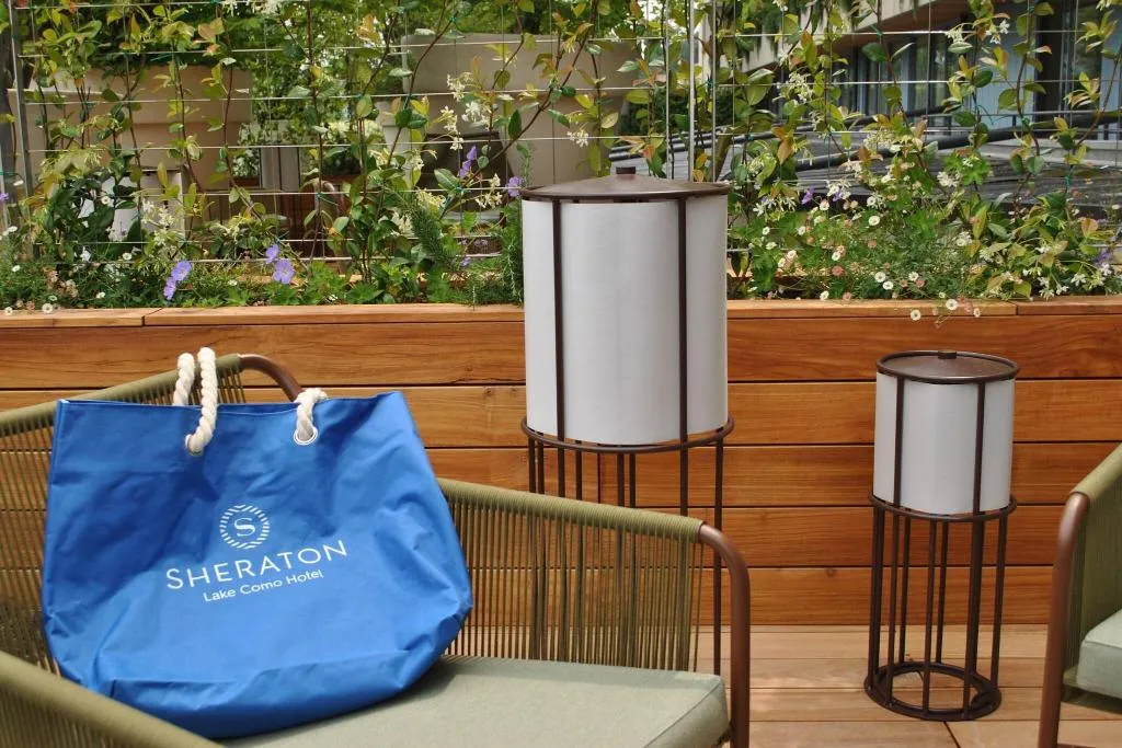 DOUBLE DELUXE WITH TERRACE Room, Sheraton Lake Como, Milan