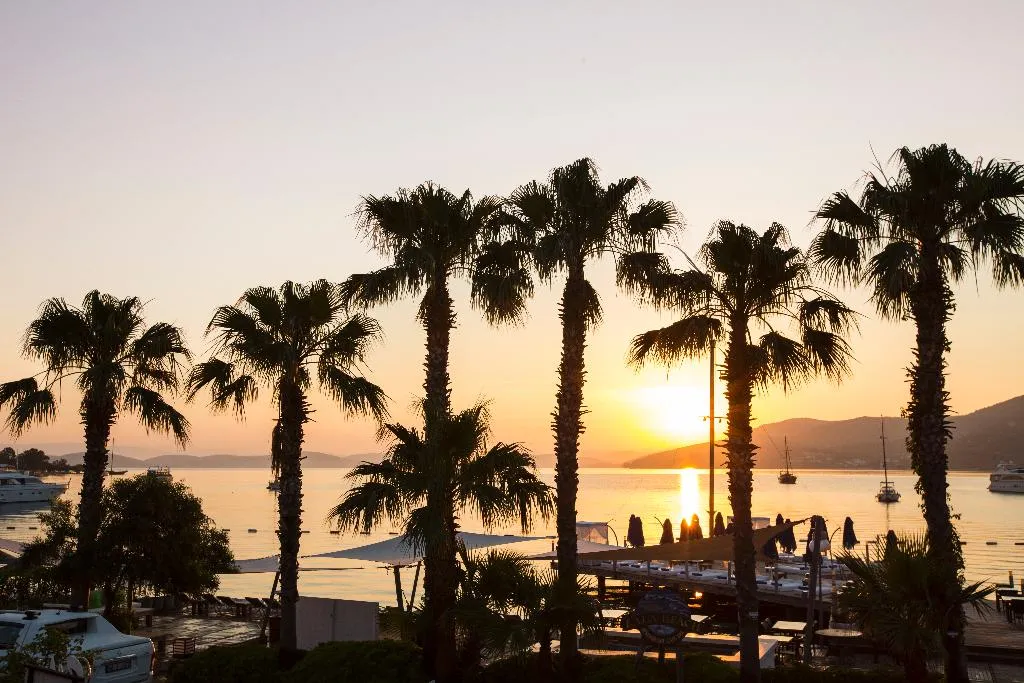 Terrace, Torbahan Hotel, Bodrum