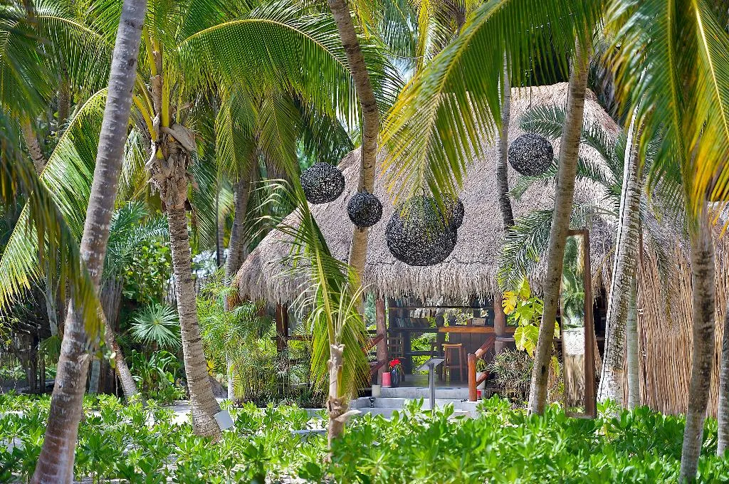 General view, Maya Tulum, Cancun Area