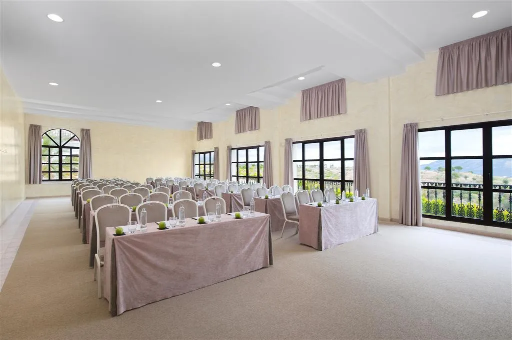 Conferences, Melia Villaitana, Costa Blanca