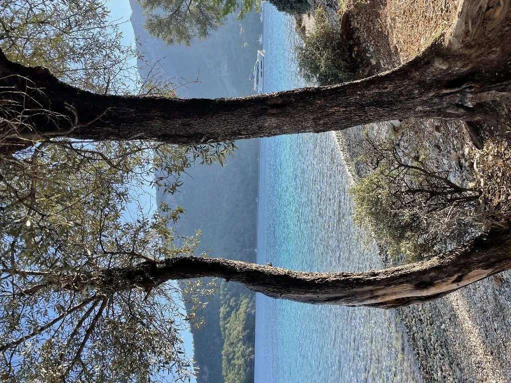 Beach, Dalaman Airport AliBaba Hotel, Dalaman