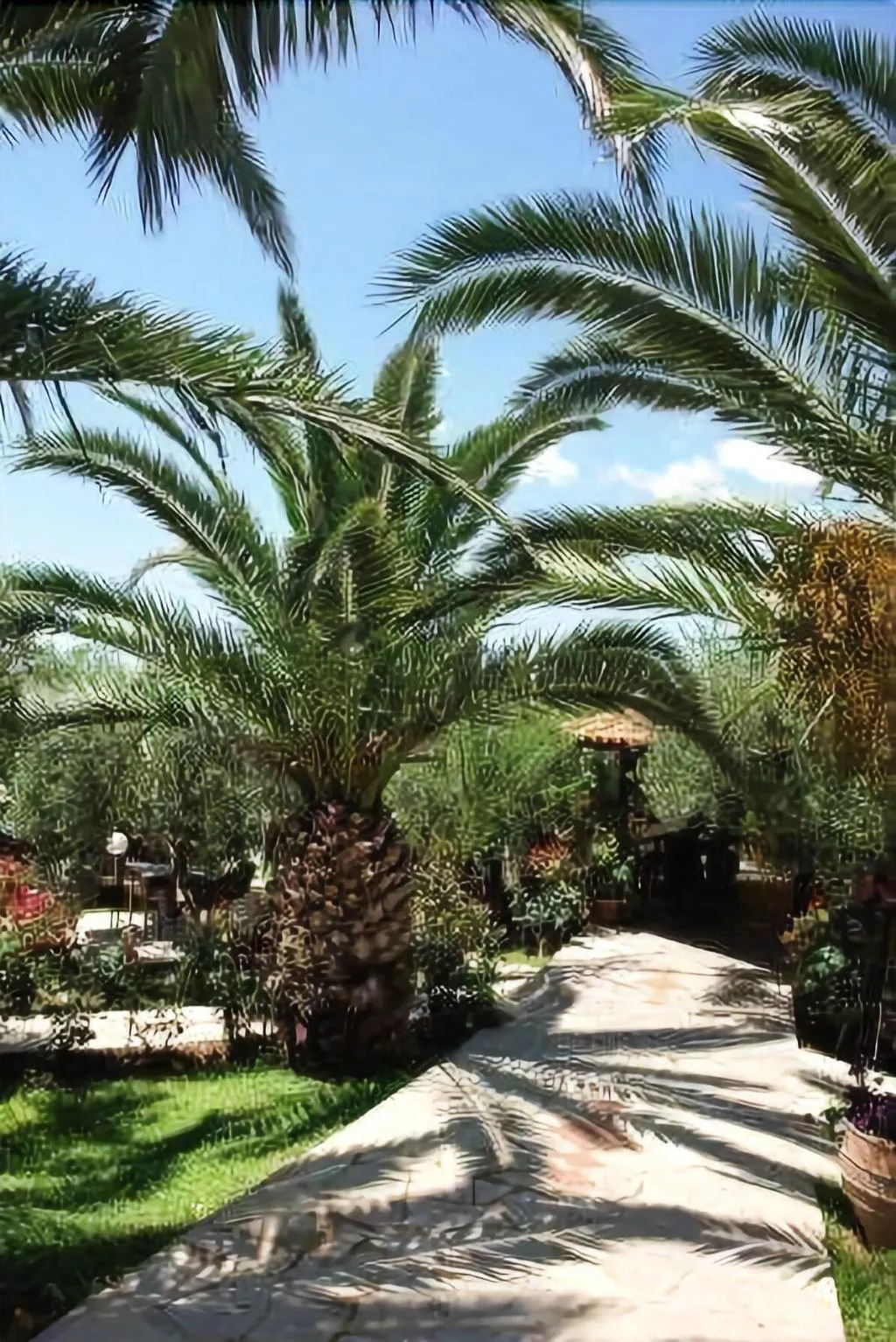 General view, Martha's Haus Hotel, Halkidiki