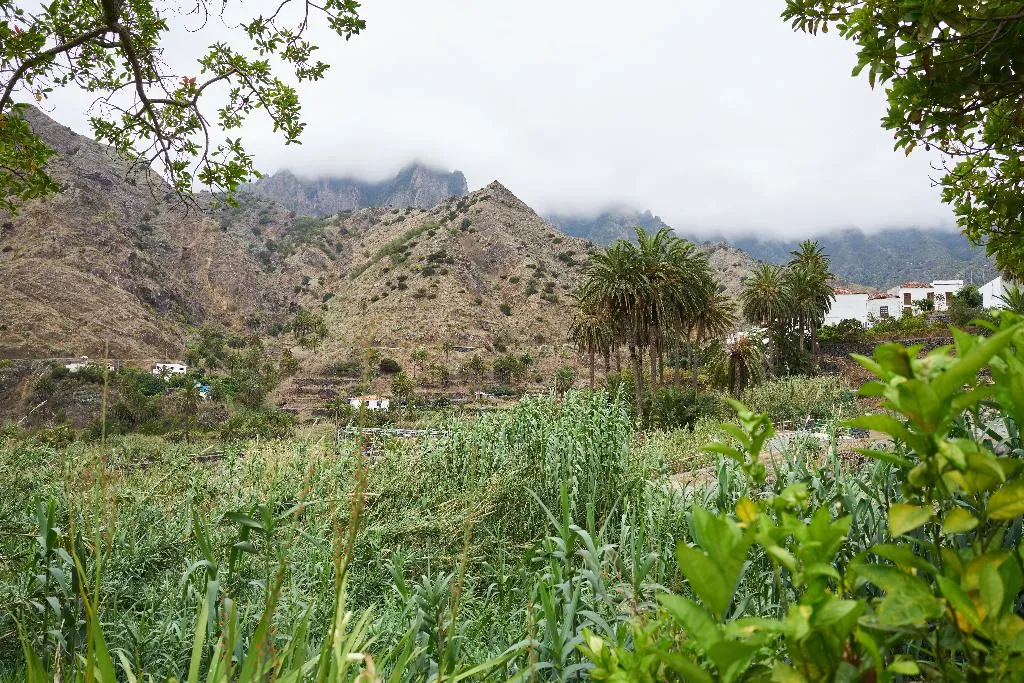 Sports and Entertainment, Finca Piñero, Tenerife