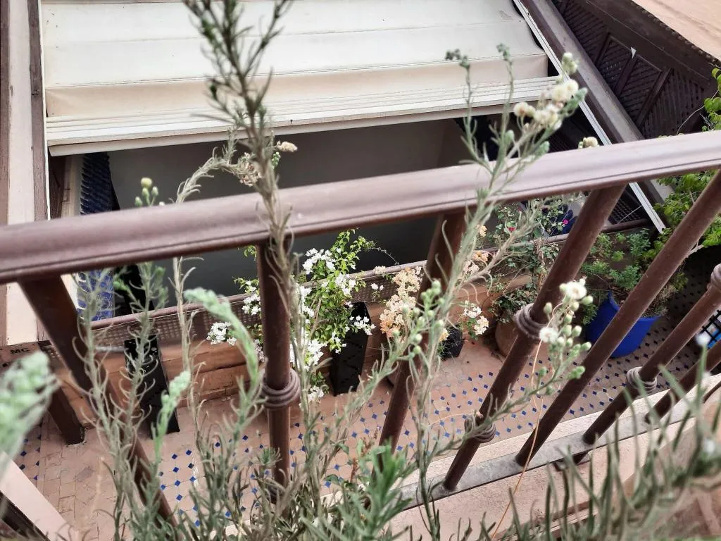 Terrace, Riad Aubrac, Marrakech